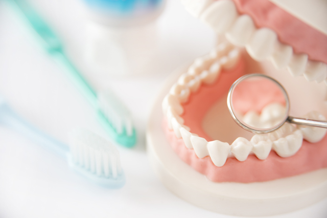 歯周病の治療、歯のクリーニング、歯ブラシの仕方のご指導などの<br>プラークコントロール